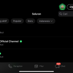 Fitur Terbaru WhatsApp Channel
