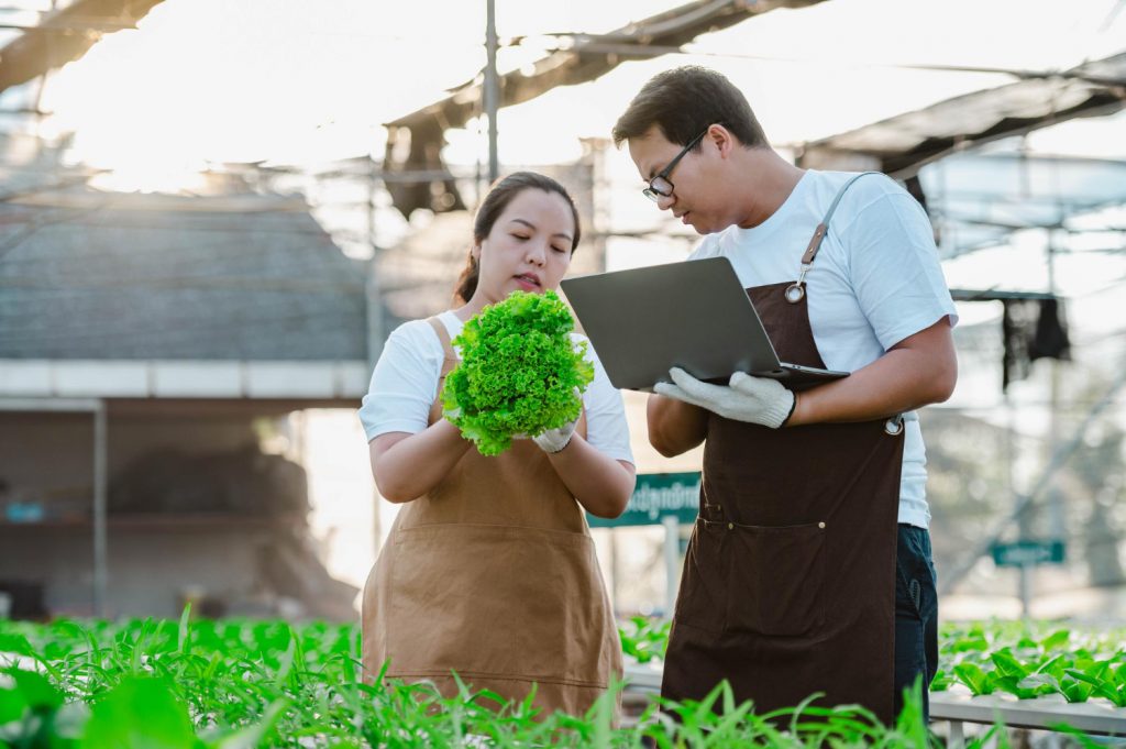 Analisis Manajemen Finansial: Studi Kasus dalam Agribisnis