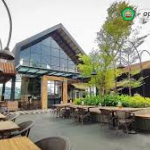 rekomendasi cafe di malang